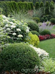 a garden filled with lots of different types of flowers and plants on top of green grass