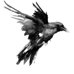 a black and white drawing of a bird flying in the air with its wings spread