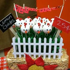 an unique farm birthday party idea for someone's 21st birthday with cake pops and marshmallows