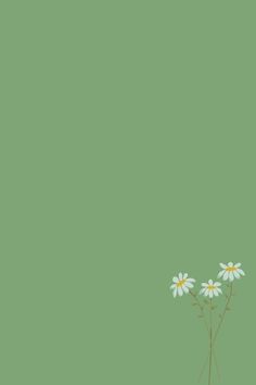 three daisies in a vase on a green background with space for text or image