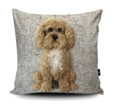 a brown dog sitting on top of a pillow