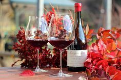 two wine glasses sitting on top of a table next to bottles of wine and leaves