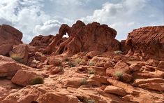 some rocks and plants in the desert under a cloudy sky