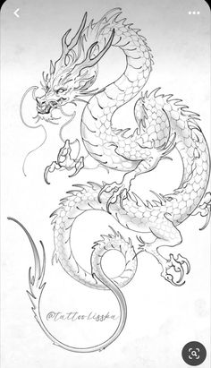 a black and white drawing of a dragon