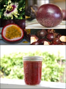 the collage shows different types of fruit and vegetables