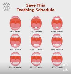 an image of teeth with the words save this teething schedule on each one side