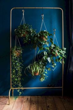 three hanging plants on a blue wall in front of a metal rack with two potted plants