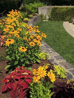 a garden filled with lots of flowers next to a lush green field and stone walkway