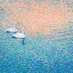 two white swans floating on top of a lake next to each other under a colorful sky