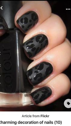 Cheetah Nail Designs, Black Nail Designs, Cute Acrylic Nails