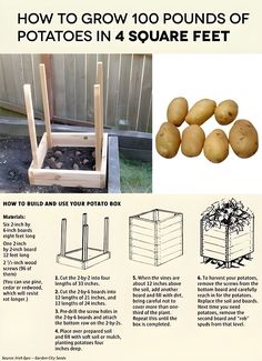 how to grow 100 pounds of potatoes in 4 square feet - step by step instructions