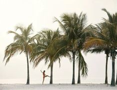 a person standing on the beach with palm trees