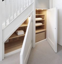 an open closet under the stairs in a white room with carpeted flooring and walls