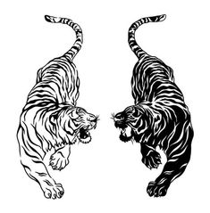 Thai Tattoos, Two Tigers, Tiger Tattoos, Jaguar Tattoo, Dark Tattoos, Tiger Tattoo Design, 18th Bday, Stomach Tattoos, Line Art Tattoos