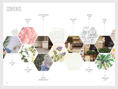 the contents of a brochure are arranged in hexagonal shapes and flowers