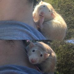 a man holding a ferret up to his face and the other side of him