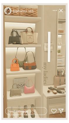 a display case with many purses and handbags on it's shelves in a store