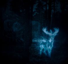 a deer in the dark with blue light coming from it's antlers