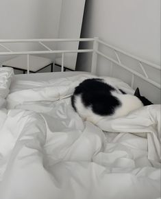 a black and white cat laying on top of a bed in a room with white sheets