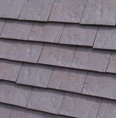 a bird is perched on the roof of a house