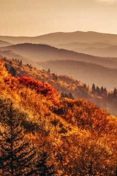 the mountains are covered in autumn foliage and there is no image here to provide a caption for