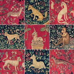 several images of animals and plants on a red background