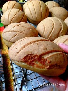 Pumpkin Bread Conchas Mexican Bakery, Chile Colorado, Bread Buns, Mexican Dessert, Homemade Pumpkin, Sweet Bread