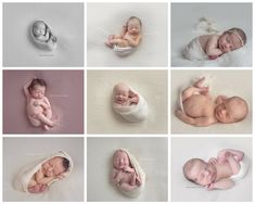 six photos of newborn babies in different poses