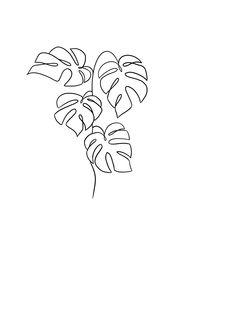 a black and white drawing of a plant