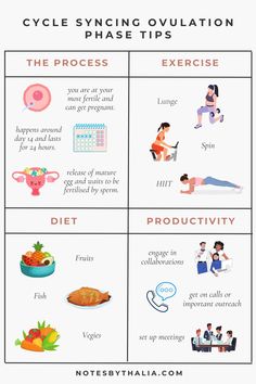 Learn the Cycle Syncing Ovulation Phase Tips that includes the process, exercise, diet and productivity  in a 4x4 table infographic with small cute graphics Ovulation Phase, Ovulatory Phase, Lose Thigh Fat