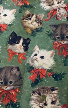 a bunch of kittens with bows on them are sitting in front of a green background