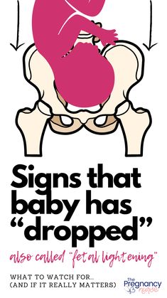 a poster with the words signs that baby has dropped