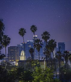 the city skyline is lit up at night, with palm trees and buildings in the foreground