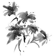 black and white photograph of flowers with long stems