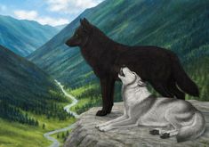 two black and white wolfs standing on top of a mountain looking at each other