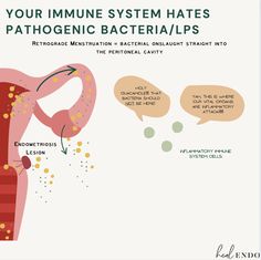 Dysbiosis and Endometriosis: The Reproductive Tract Cohort Study, Gut Microbiota, Obstetrics And Gynaecology, Pelvic Pain, Chronic Inflammation, Immune Response, Cavities, Talk About