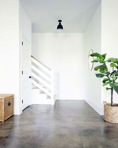 a plant in a basket next to a stair case with the words how to acid stain concrete floors