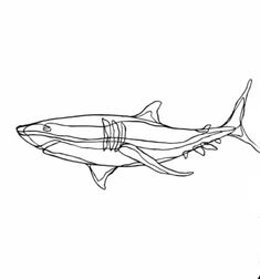 a black and white drawing of a shark next to a red ball with the word love on it