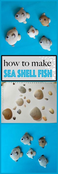 how to make sea shell fish for kids