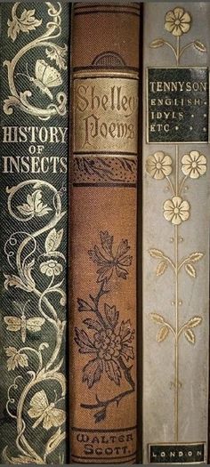 three books are lined up in rows on the shelf, one has gold trim and the other is brown