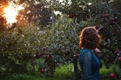 a woman standing in an apple orchard with the sun shining through the trees behind her