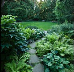 a garden filled with lots of green plants and greenery next to a lush green lawn