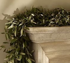 a close up of a planter with leaves on it