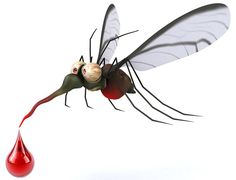 a mosquito with blood dripping from it's wings