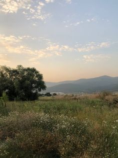 an open field with trees and mountains in the background