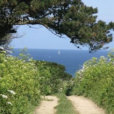 a dirt path leading to the ocean with trees on either side and sailboats in the distance