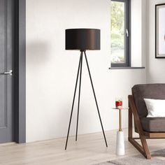 a living room scene with focus on the floor lamp