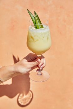 a person holding a wine glass with a green plant in it and a shadow on the ground