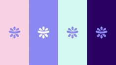 four different colored lines with flowers in the middle and one is blue, pink, purple