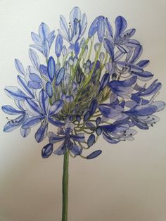 a painting of blue flowers in a glass vase on a white surface with watercolor pencils